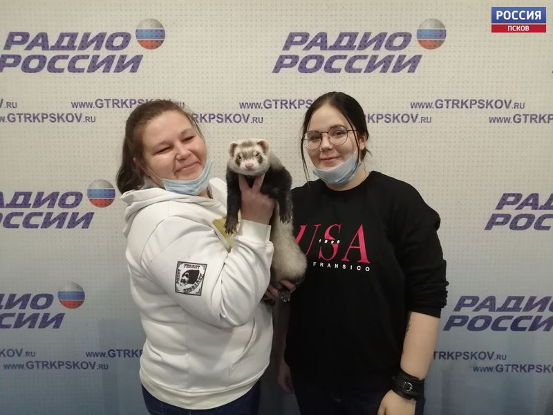 Стартовая площадка. Особенности ухода за домашними хорьками, енотами и барсуками. Выпуск 05.11.2020