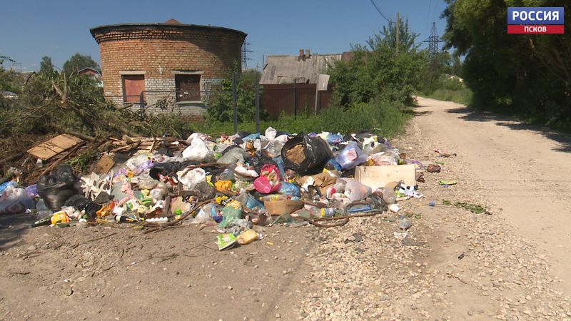 Жителям частного сектора в Пскове вернули контейнеры для сбора мусора